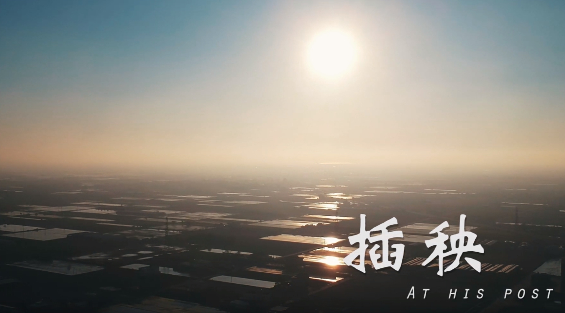 這是一張圖片 1561602972374